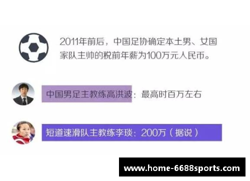 鲁能球员月薪揭秘：薪资分析及背后的财政影响