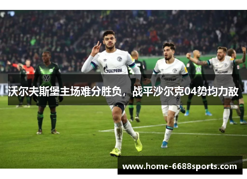 沃尔夫斯堡主场难分胜负，战平沙尔克04势均力敌